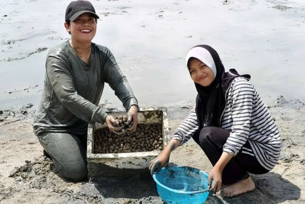 Roszana Johari (kiri) menunjukkan kerang yang berjaya dikutip di Pantai Klebang pada Sabtu. Foto Bernama
