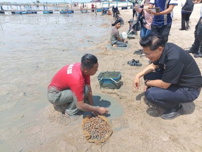 Ahli Dewan Udangan Negeri (ADUN) Klebang, Datuk Lim Ban Hong (kiri) turut meninjau 'pesta' kerang di pantai Klebang.