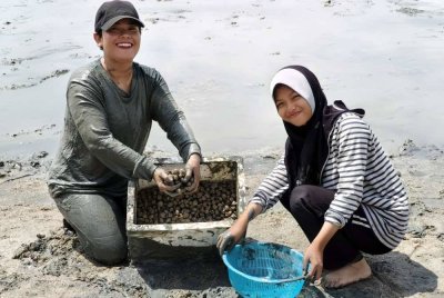 Roszana Johari (kiri) menunjukkan kerang yang berjaya dikutip di Pantai Klebang pada Sabtu. Foto Bernama