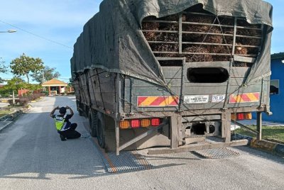 Hasil pemeriksaan mendapati lori terbabit membawa muatan sebenar 44,800 kilogram, sedangkan had maksimum yang dibenarkan hanyalah 24,000 kilogram.