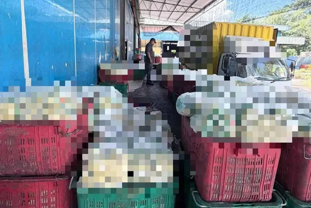 Antara produk makanan yang disita.