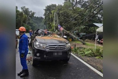Gambar keadaan pacuan empat roda yang dihempap pokok tumbang yang dikongsikan Rozita di Instagram miliknya.