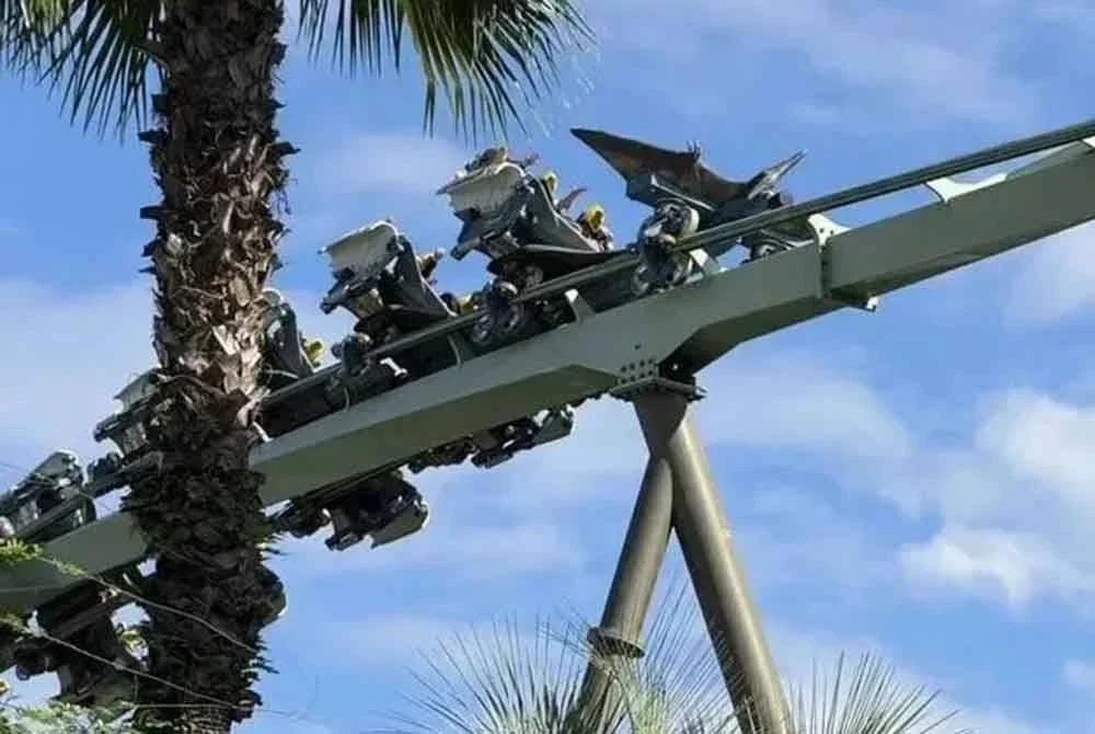 Kejadian berlaku selepas Wang menaiki tiga permainan berkenaan di sebuah taman tema.