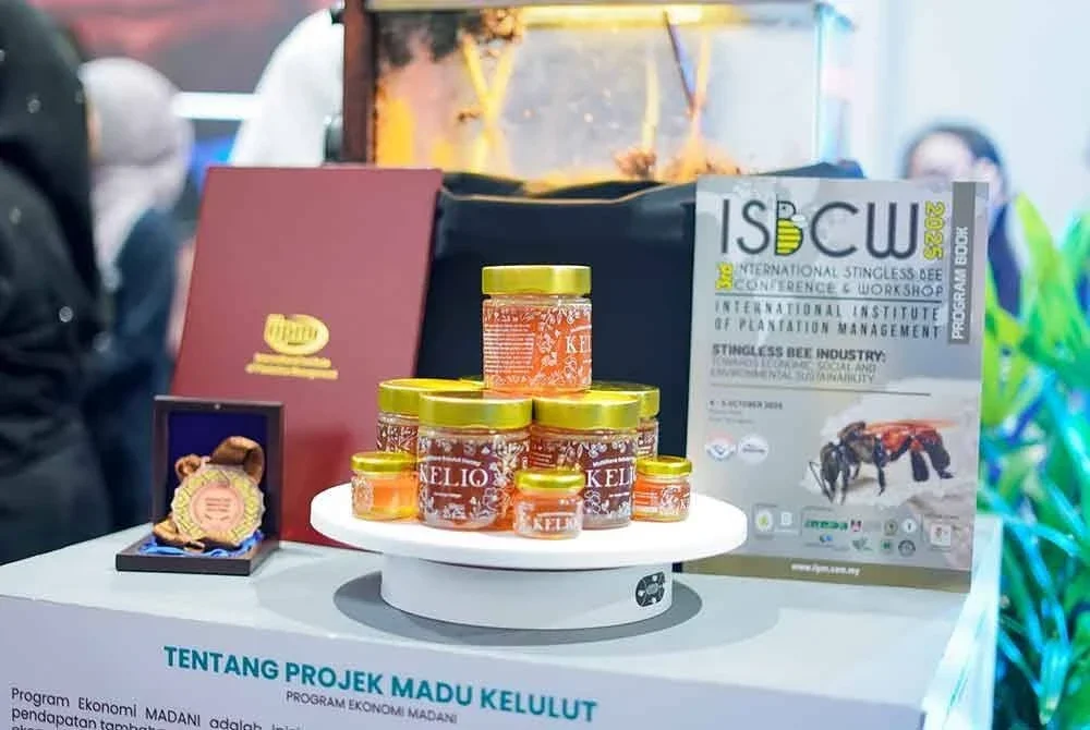 KELIO merupakan madu kelulut tulen yang dituai daripada sarang lebah kelulut di kawasan taman sekitar kem-kem ATM seluruh negara.