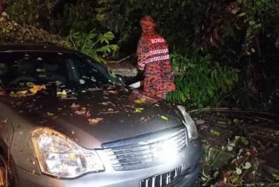 Anggota bomba membersihkan sisa dahan pokok di sekitar lokasi kejadian.