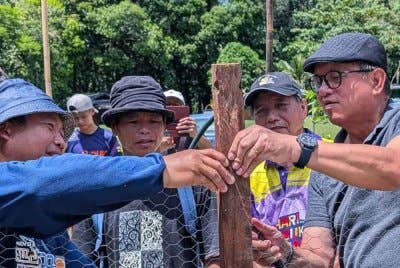Joniston (kanan) bersama masyarakat kampung bergotong royong membaiki pagar di Kampung Bambangan Lama, di Kiulu, Tuaran.