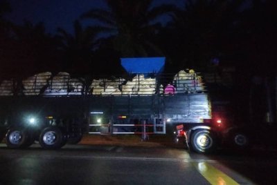 Tiga buah treler membawa muatan sisa komponen elektronik tanpa kebenaran berjaya dipatahkan di Bukit Selambau pada awal pagi Rabu.