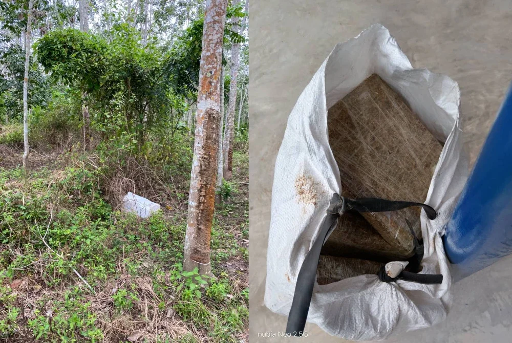 Guni putih yang berisi 22kg ganja yang ditemukan ditinggalkan berhampiran tembok keselamatan di sempadan Malaysia-Thailand di Padang Besar pada Khamis. Foto PGA Briged Utara