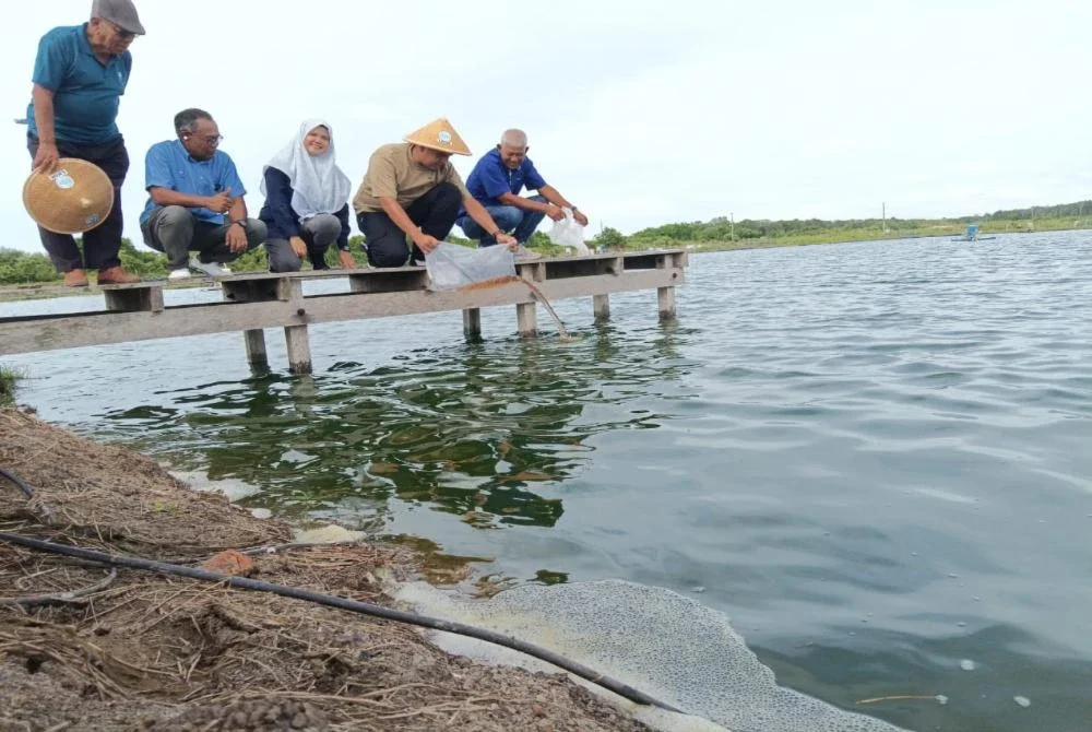 Muhamad Akmal (empat,kiri) ketika melepaskan benih udang di Kampung Sebatu, Sungai Rambai, pada Jumaat.