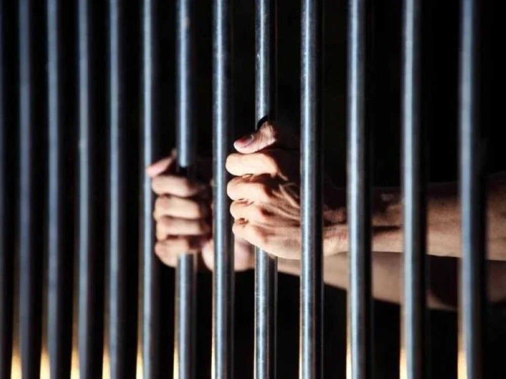 Seorang 'transporter' Indonesia dihukum penjara setahun oleh Mahkamah Sesyen Klang pada Jumaat selepas didakwa membiarkan 10 migran haram dari negara sama tinggal di sebuah rumah sementara menunggu untuk pulang ke negara asal.