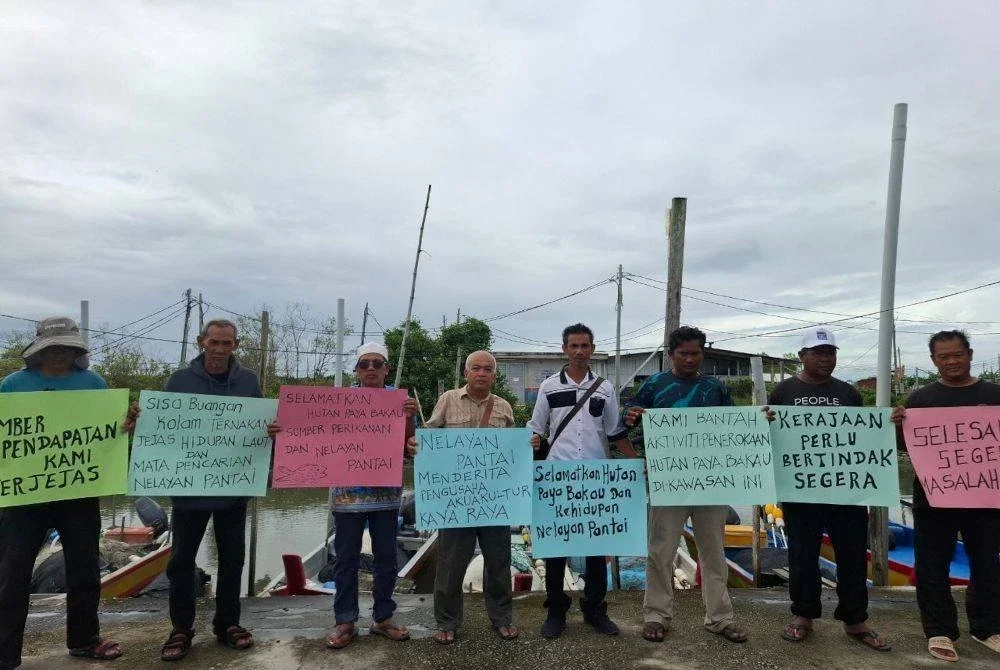 Komuniti nelayan kawasan Sungai Betul Bawah dan Sungai Air Hujan,Tanjung Piandang membuat bantahan dan mendakwa hasil laut merosot dipercayai berpunca daripada aktiviti penerokaan hutan paya bakau bagi tujuan pembinaan kolam ternakan udang.