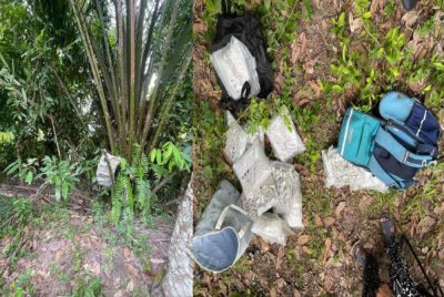 Taktik licik penyeludup menyorok 7.05 kg bunga ganja dalam guni bernilai RM254,000 dekat sebatang pokok salak terbongkar selepas diserbu PGA di hadapan sebuah rumah di Kampung Tok Pelanduk, Pasir Mas pada Khamis. Foto: PGA
