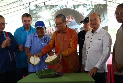 Mohammad Nizar (tiga dari kanan) menyempurnakan gimik perasmian Festival Durian Antarabangsa Kampung Gajah 2025 di Kompleks Desa Warisan Institut Agro Usahawan (IGROW), Kampung Gajah, pada Jumaat.