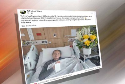 Status dikongsikan Tat Meng di laman sosialnya pada Jumaat.