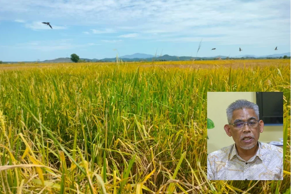 Subsidi bersasar RM1 bilion setahun dicadang bagi pastikan golongan miskin terus nikmati harga berpatutan. Ismail (Gambar kecil)