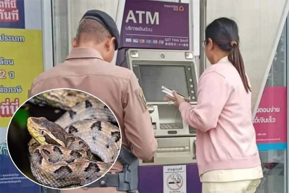 Wanita berkenaan segera melaporkan kejadian itu kepada pihak polis. - Foto:Agensi