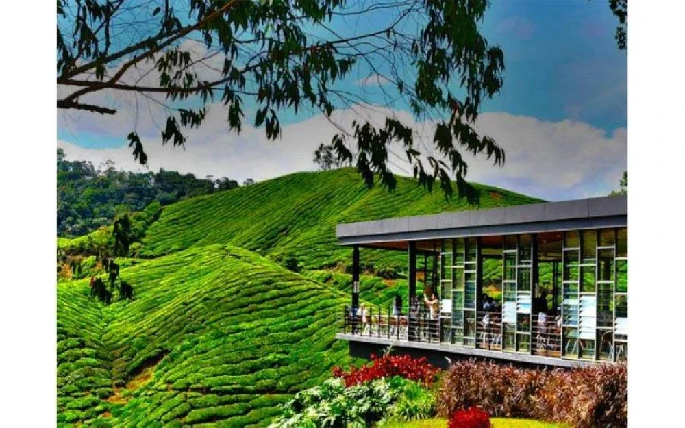 Cameron Highlands merupakan antara destinasi paling menarik di Malaysia yang mempunyai udara sejuk, pemandangan hijau dan banyak tempat cantik untuk berjalan-jalan atau bersantai.