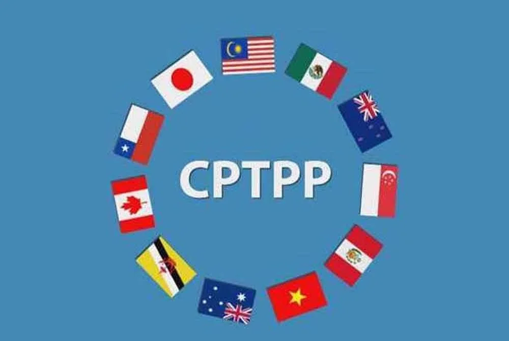 Langkah mengadakan dialog rasmi pertama antara ASEAN dan Perjanjian Komprehensif dan Progresif bagi Perkongsian Trans-Pasifik (CPTPP) pada 20 November merupakan detik penting dalam landskap perdagangan serantau.