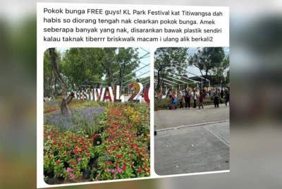 DBKL menafikan dakwaan tular di media sosial yang mendakwa terdapat agihan pokok bunga secara percuma.