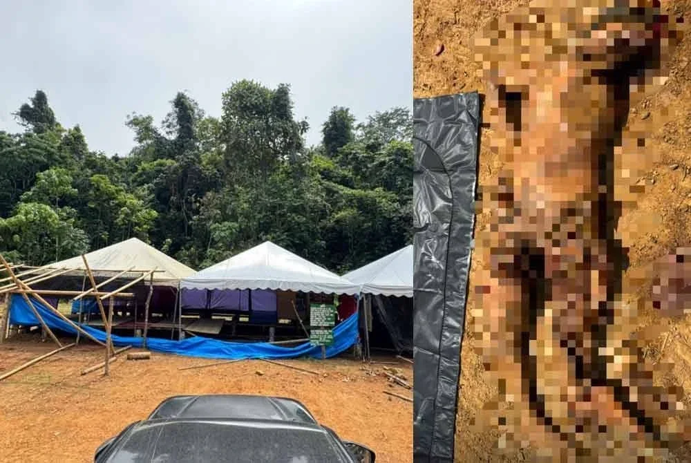 Lokasi rumah kongsi pekerja balak yang menjadi serangan gajah. FOTO Ihsan PDRM