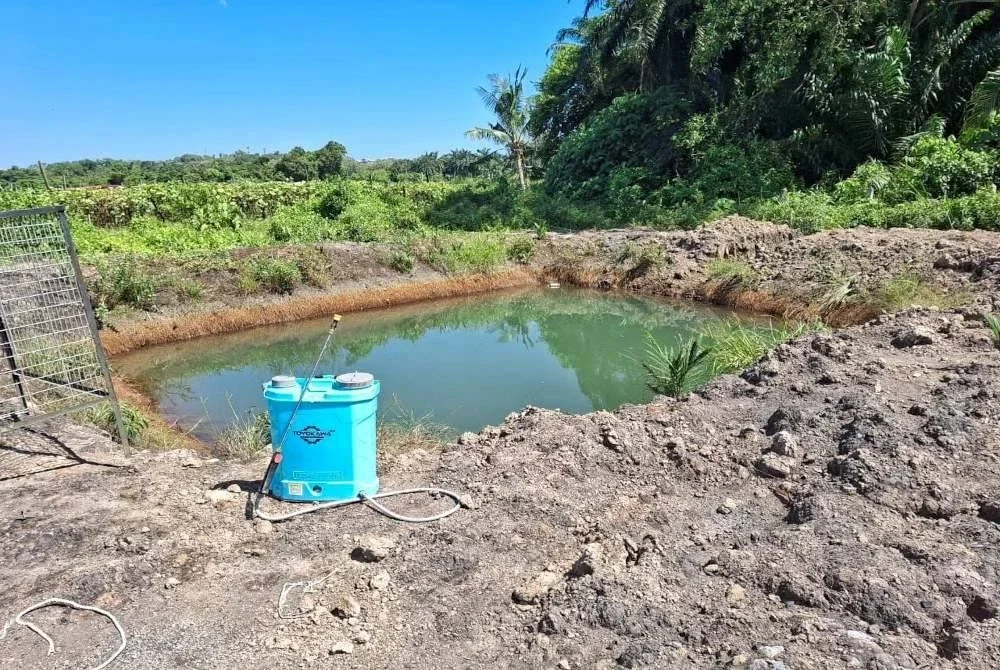 Mangsa meninggal dunia selepas ditemui terjatuh ke dalam kolam ketika menyiram anak pokok gaharu.