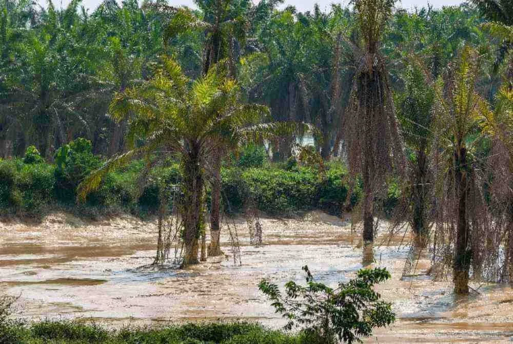 Keadaan pencemaran sungai yang berlumpur, dipercayai berpunca daripada kolam takungan milik sebuah syarikat perlombongan pasir yang pecah di Sungai Sayong, Ulu Sungai Johor. Foto Bernama