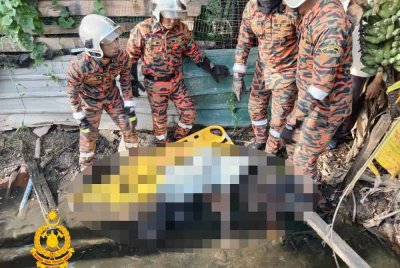 Mangsa disahkan maut di lokasi kejadian.