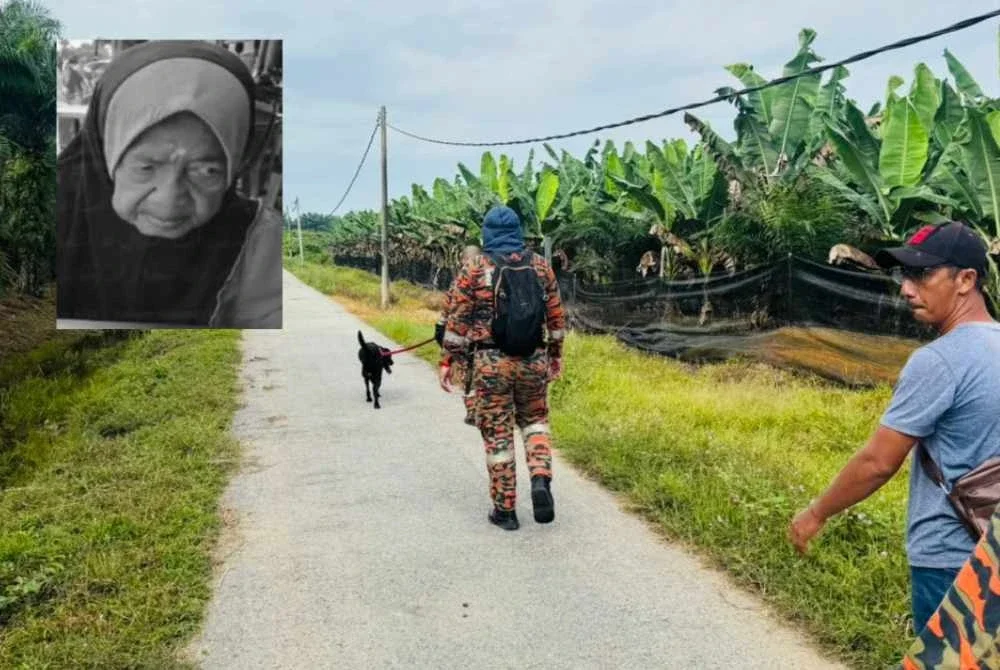 Seorang wanita warga emas yang hilang tiga hari lalu ditemui meninggal dunia di dalam parit kebun pisang di Kampung Teluk Kerdu, Hutan Melintang. Gambar kecil: Halimah