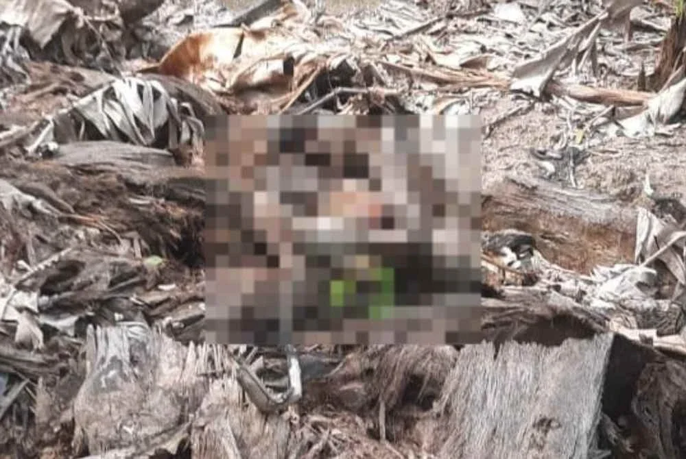 Mangsa ditemui meninggal dunia di dalam parit kebun pisang selepas tiga hari dilaporkan hilang.