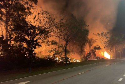 Keadaan kawasan hutan di Salak Tinggi, Sepang terbakar pada Jumaat. Foto: Jabatan Bomba dan Penyelamat Malaysia