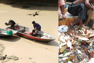 Keadaan Sungai Sayong yang dipenuhi lumpur dan ratusan ikan timbul di permukaan air selepas berlaku pencemaran di Sungai Sayong Keadaan Sungai Sayong, Kota Tinggi. - Foto FB Jasni