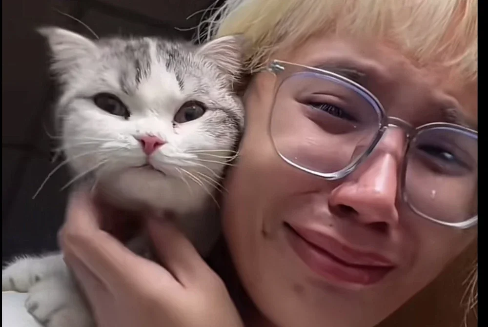 Lamut akhirnya pulang dan menemui kembali tuannya. - Foto: Agensi