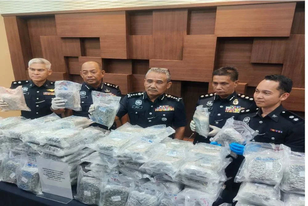 Adzli menunjukkan bunga ganja yang berjaya dirampas pada sidang akhbar di Ibu Pejabat Polis Kontinjen (IPK) Kedah pada Isnin.