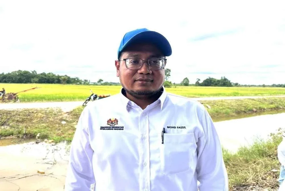 Mohd Faizul 