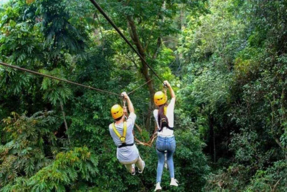 Mereka diserang semasa melakukan aktiviti zilpline. - Gambar hiasan