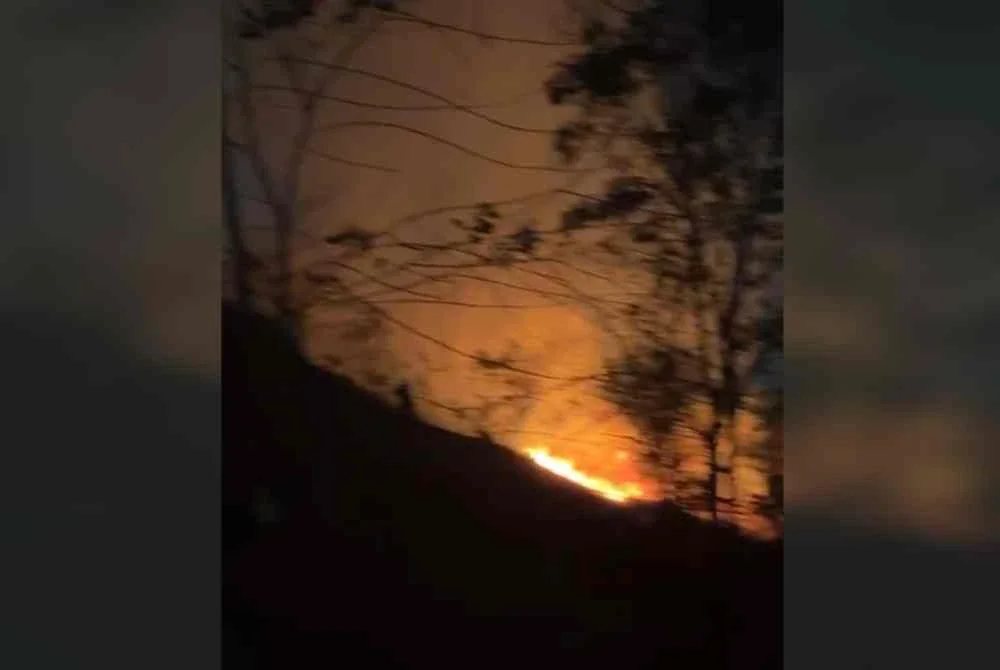 Kebakaran hutan melibatkan kawasan seluas kira-kira 1.214 hektar dilaporkan berlaku di atas Bukit Taman Seri Timah, pada Khamis.