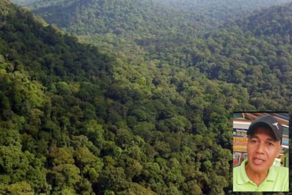 Pemansuhan status hutan simpanan kekal juga boleh menyebabkan kemusnahan kekal habitat flora dan fauna. Gambar kecil Meor Razak.