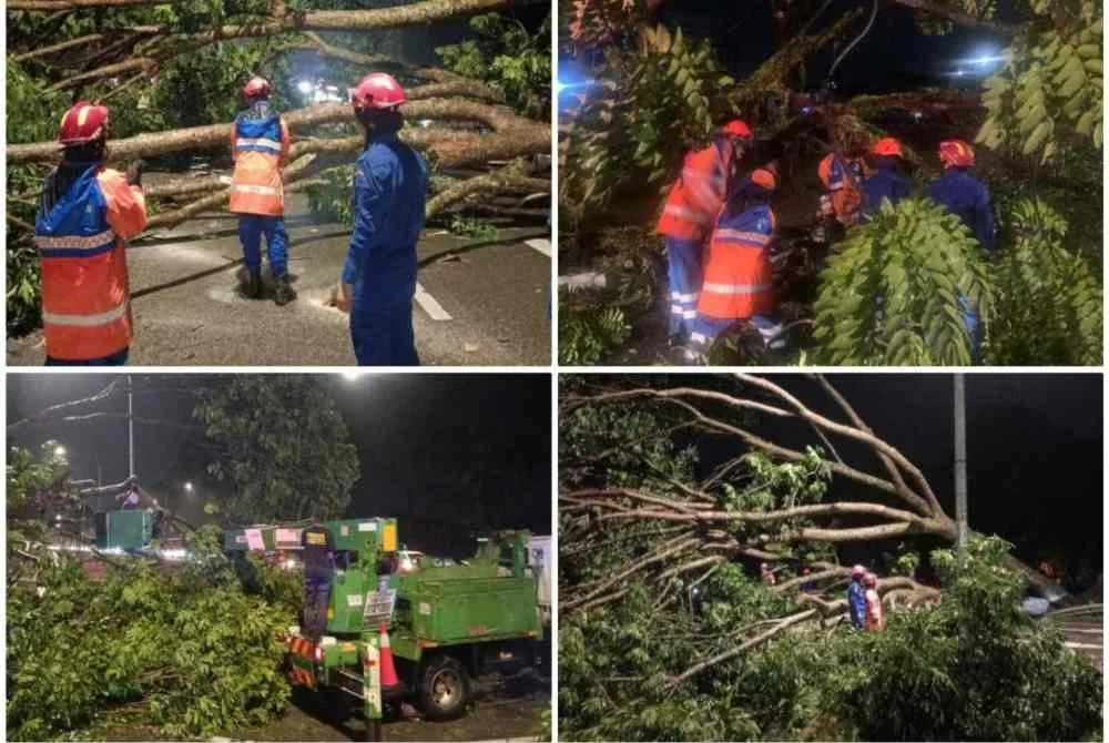 Lebih 60 rumah rosak dan 13 kejadian pokok tumbang dilaporkan berlaku di sekitar bandar raya ini susulan ribut yang melanda malam tadi.