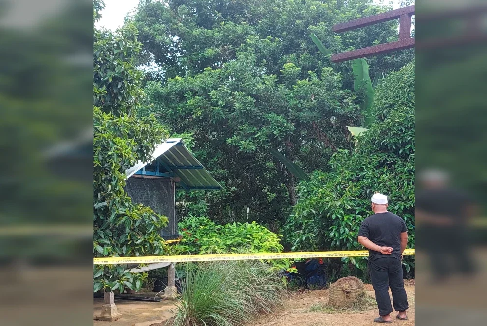 Mangsa ditemukan meninggal dunia dekat sebatang pokok rambutan di belakang rumah.