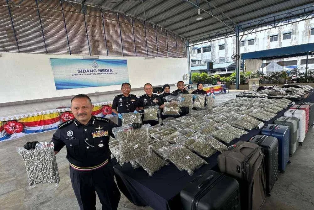 Azizee (depan) bersama pegawainya menunjukkan kesemua bunga ganja yang dirampas dalam dua serbuan pada Selasa minggu lalu.