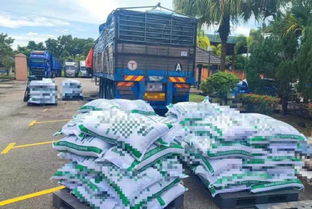 JKDM Kelantan merampas 80.5 tan beras seludup selepas menahan dua buah treler dalam serbuan berasingan di Kuala Krai. Foto JKDM