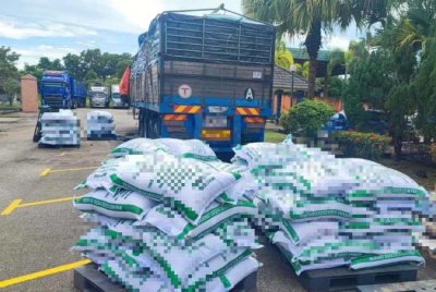 JKDM Kelantan merampas 80.5 tan beras seludup selepas menahan dua buah treler dalam serbuan berasingan di Kuala Krai. Foto JKDM