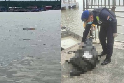 Nelayan yang dilaporkan hilang pada Selasa ditemui lemas berhampiran sangkar pancing di Kukup. Foto JBPM Johor