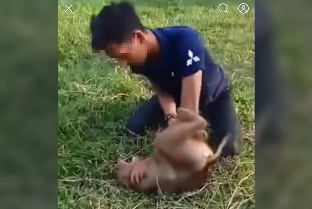 Tangkap layar seorang lelaki mencekik seekor beruk yang tular di media sosial.