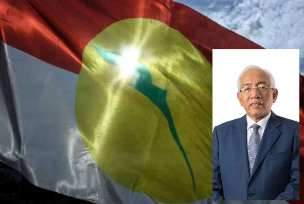 UMNO Kedah menggesa Ahli Parlimen Seputeh, Teresa Kok membuat permohonan maaf secara terbuka. Gambar kecil: Mahdzir Khalid