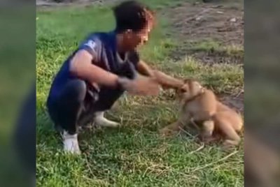 Tangkap layar seorang lelaki menampar seekor beruk yang tular di media sosial.