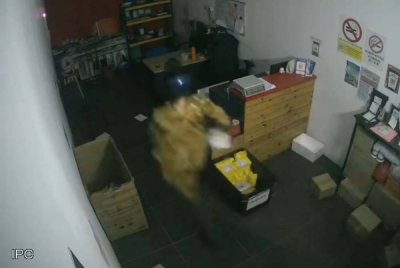 Beberapa rakaman CCTV yang tular di media sosial memaparkan kelibat suspek disyaki seorang lelaki berpakaian wanita bertindak memecah masuk ke kedai menyebabkan kerugian barangan dan wang tunai.