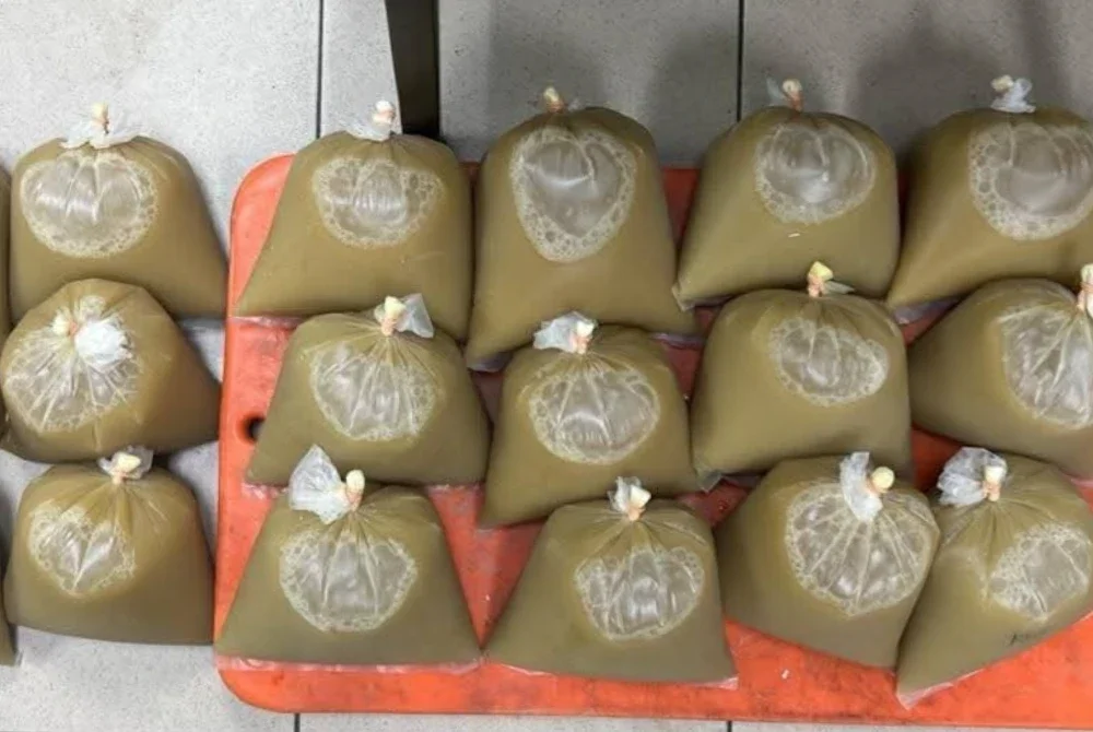 Bungkusan air ketum yang dirampas susulan penahanan suspek di kawasan Kampung Peragap, Kerdau, Jumaat lalu. Foto FB Polis Temerloh