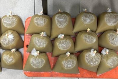 Bungkusan air ketum yang dirampas susulan penahanan suspek di kawasan Kampung Peragap, Kerdau, Jumaat lalu. Foto FB Polis Temerloh