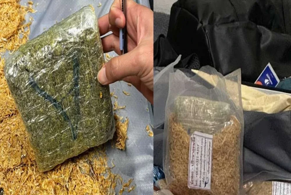 Taktik tiga lelaki warga Jepun menyeludup dadah jenis kokain bernilai RM2.4 juta dengan menutup bungkusan tersebut menggunakan ikan bilis dan udang kering dalam enam bagasi terbongkar.